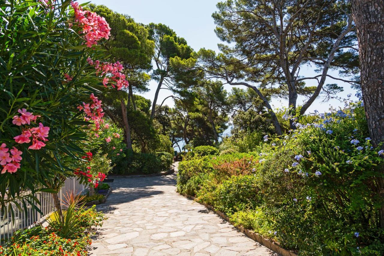 Parc Et Residence Le Provencal Hyères Exterior foto